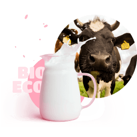 Cow and milk